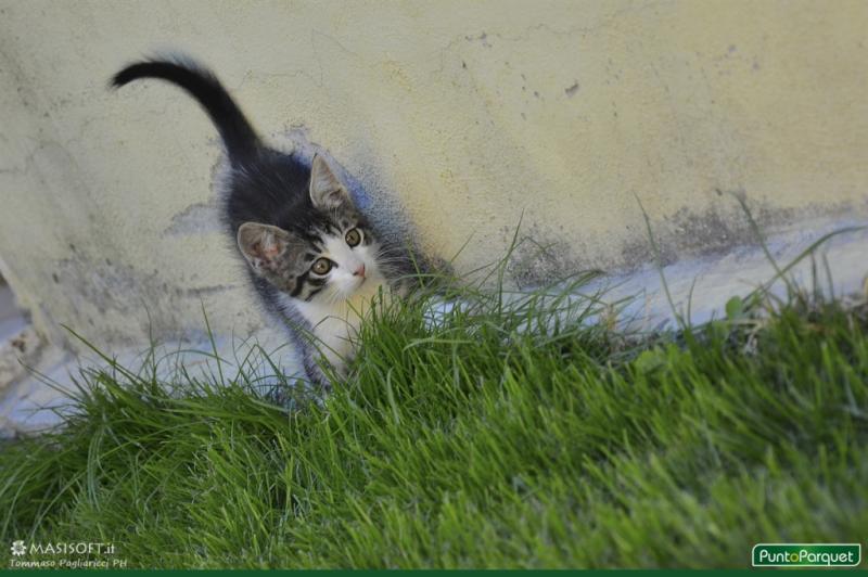 Infissi in PVC per una casa in campagna a Terni - Umbria